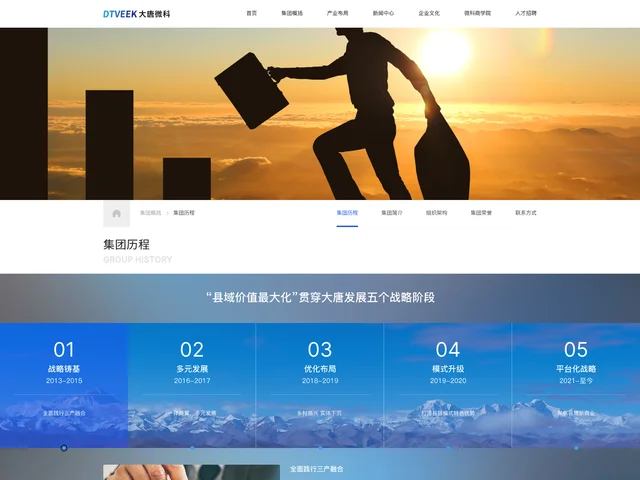 公司历程