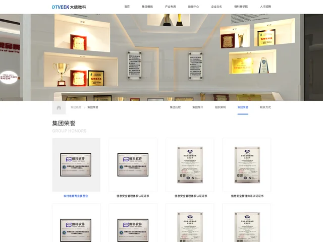 集团荣誉 · 方案2