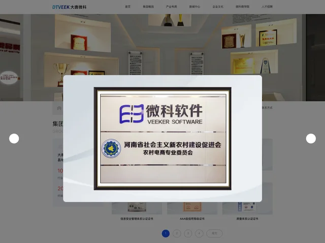 集团荣誉