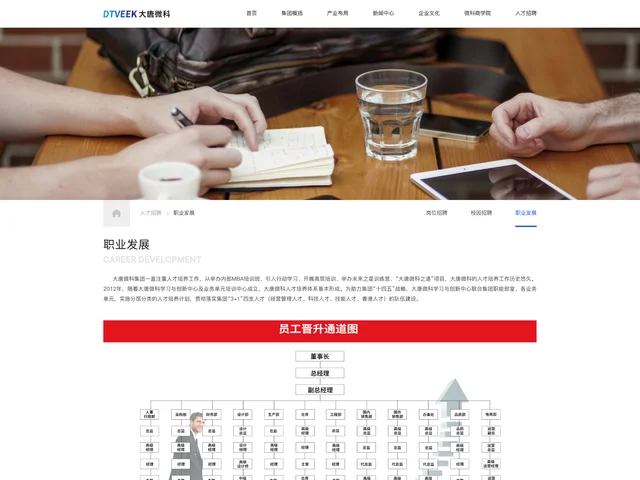 职业发展